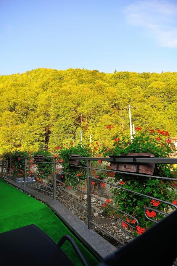 New Green Slănic-Moldova Екстериор снимка